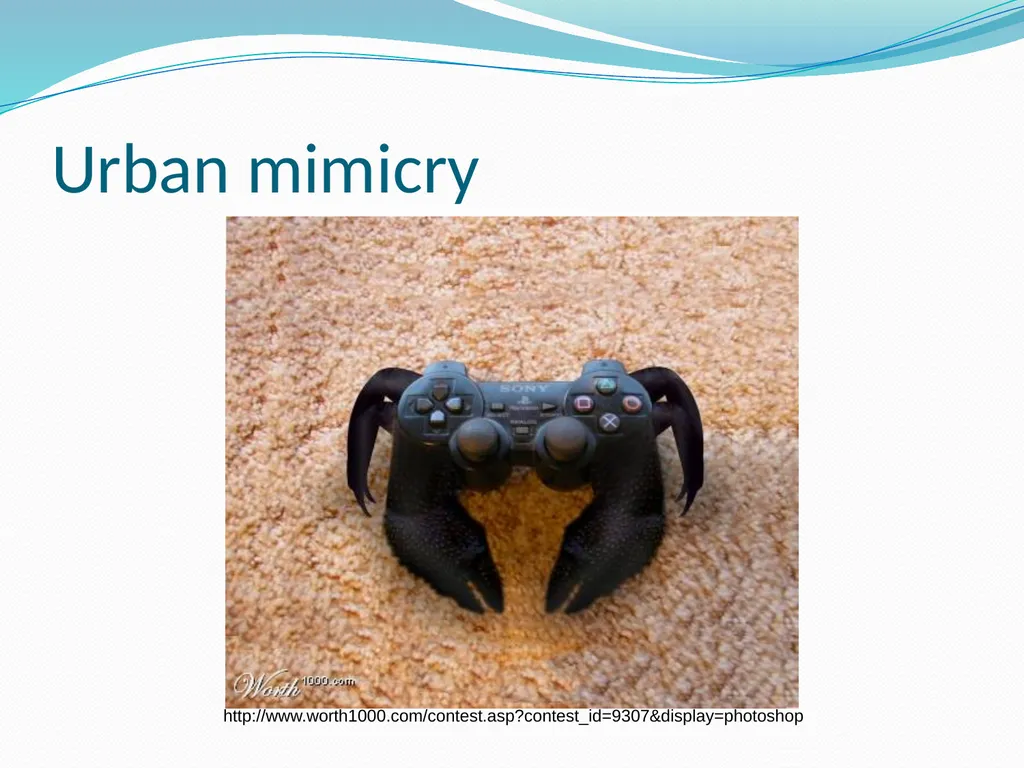 Species Interactions Chapter 8, Sections 2 - slide 24 of 37