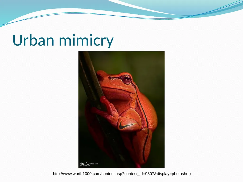 Species Interactions Chapter 8, Sections 2 - slide 25 of 37