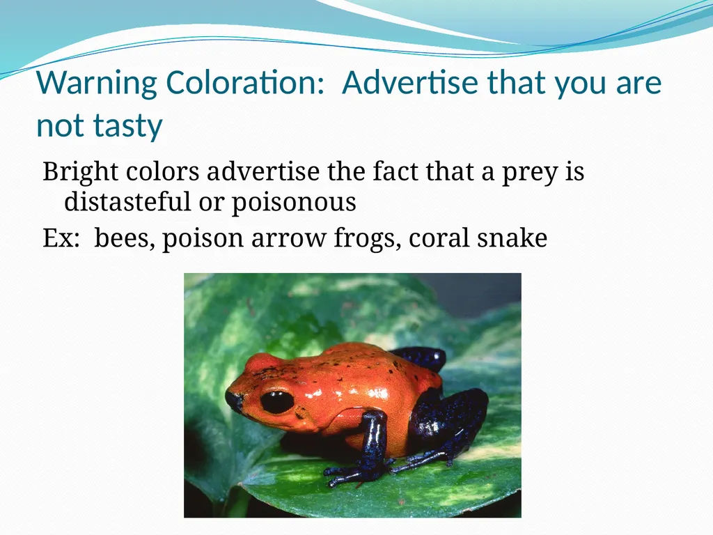 Species Interactions Chapter 8, Sections 2 - slide 19 of 37