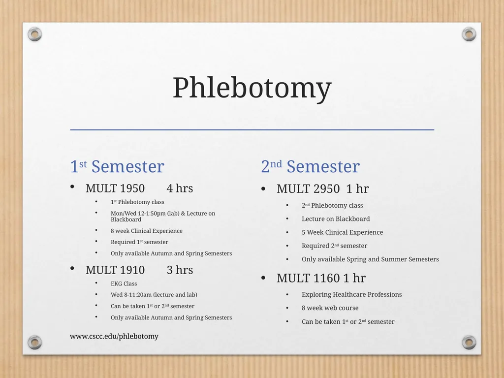 PHLEBOTOMY PROGRAM ON-LINE INFORMATION SESSION - slide 4 of 49