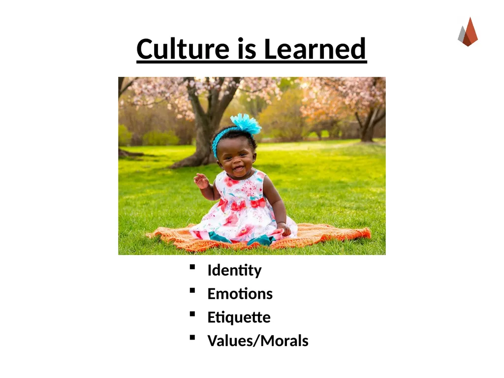 Culture [Professor Name] [Class and Section - slide 17 of 21