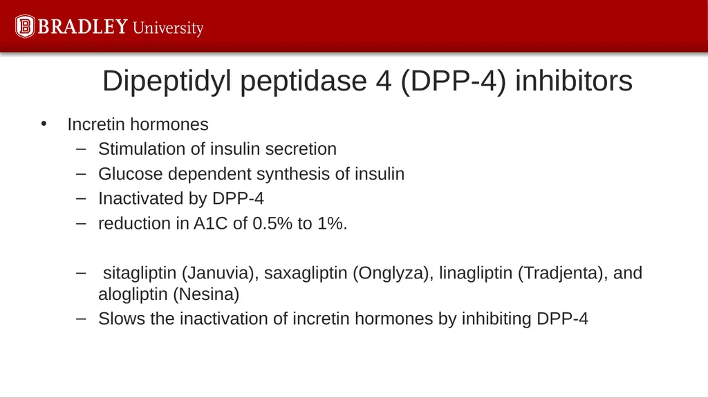 Type 2 diabetes Karen S Gregson, PhD Comparison of - slide 28 of 37