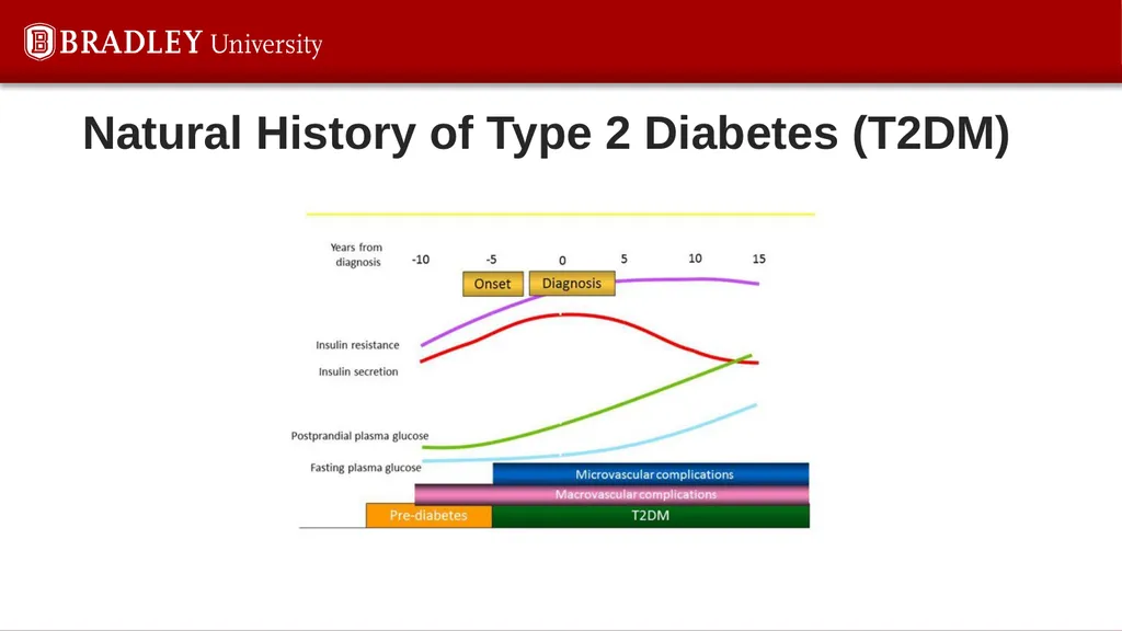 Type 2 diabetes Karen S Gregson, PhD Comparison of - slide 8 of 37