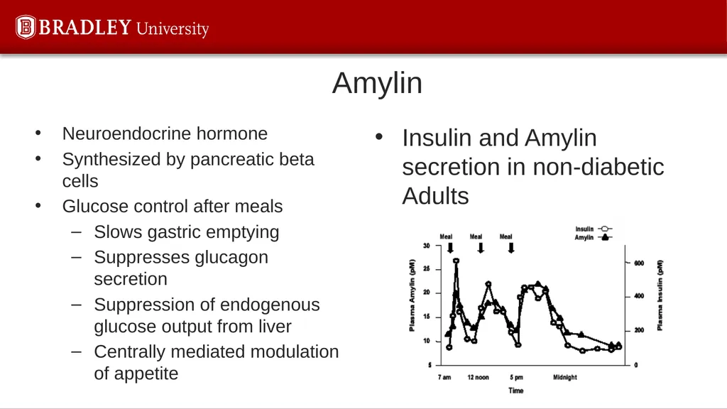 Type 2 diabetes Karen S Gregson, PhD Comparison of - slide 17 of 37