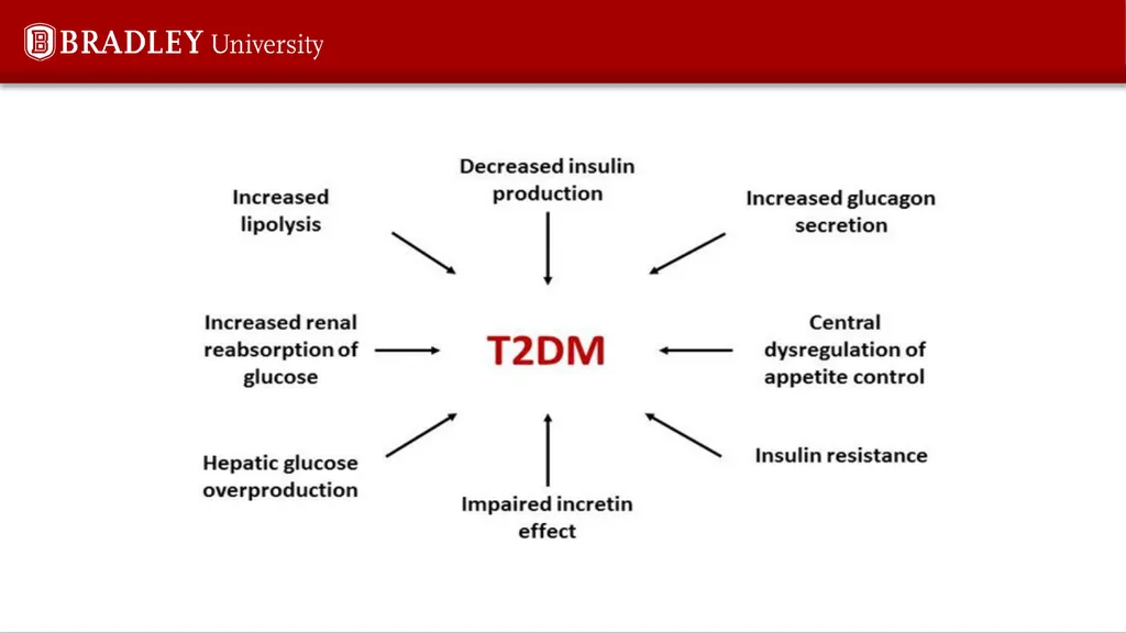 Type 2 diabetes Karen S Gregson, PhD Comparison of - slide 11 of 37