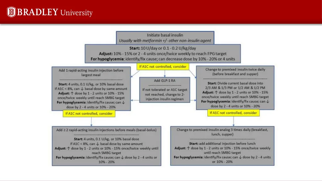 Type 2 diabetes Karen S Gregson, PhD Comparison of - slide 35 of 37