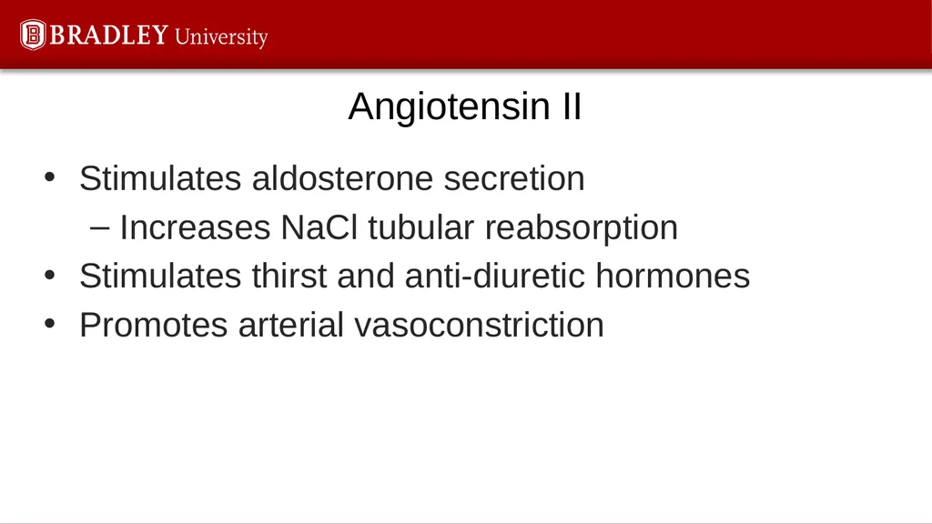 Hypertension Karen S. Gregson, PhD The Eighth - slide 8 of 35