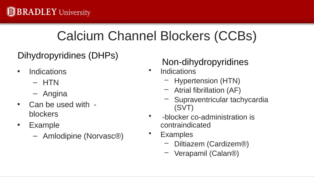 Hypertension Karen S. Gregson, PhD The Eighth - slide 27 of 35