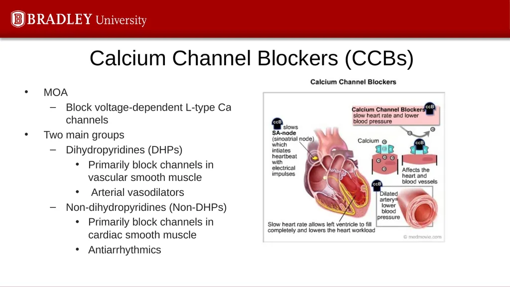 Hypertension Karen S. Gregson, PhD The Eighth - slide 26 of 35