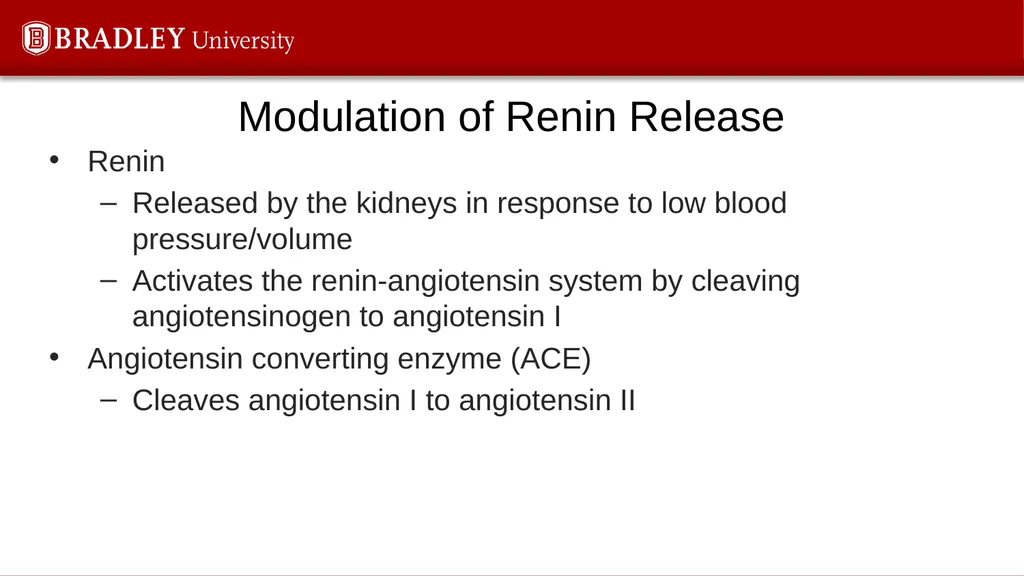 Hypertension Karen S. Gregson, PhD The Eighth - slide 6 of 35