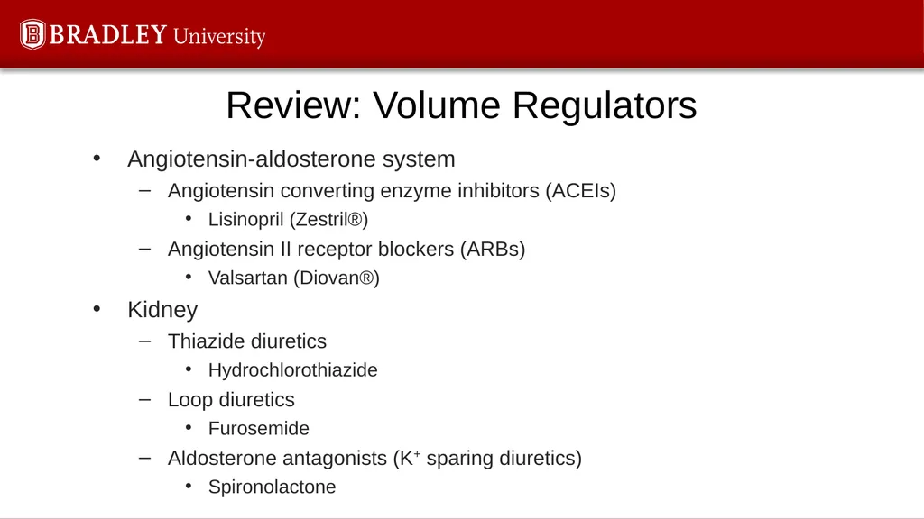 Hypertension Karen S. Gregson, PhD The Eighth - slide 24 of 35