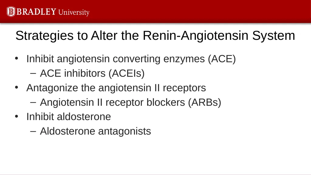 Hypertension Karen S. Gregson, PhD The Eighth - slide 9 of 35