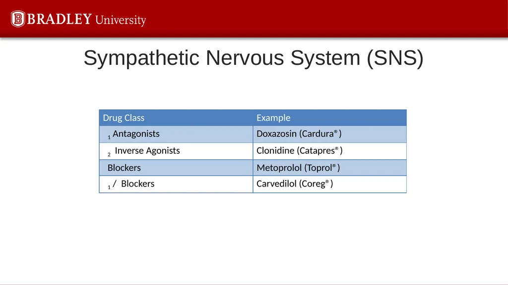 Hypertension Karen S. Gregson, PhD The Eighth - slide 29 of 35