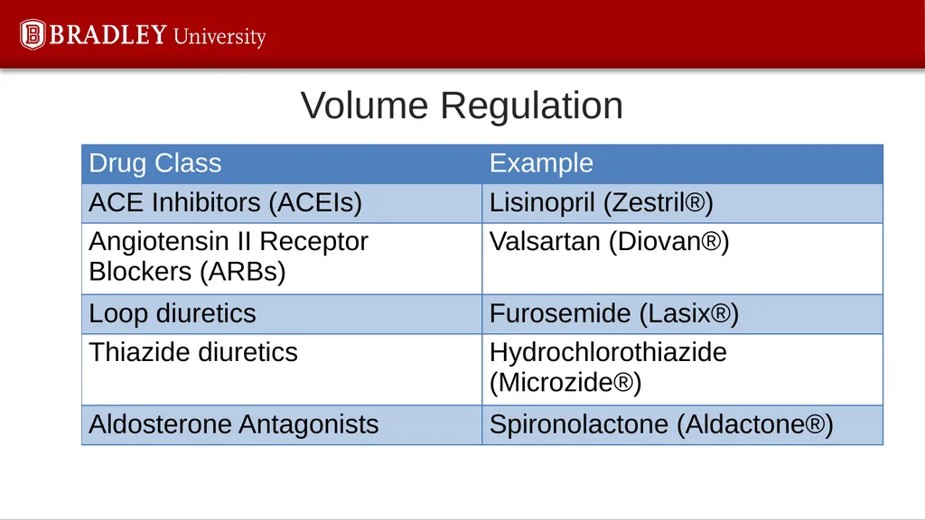 Hypertension Karen S. Gregson, PhD The Eighth - slide 4 of 35