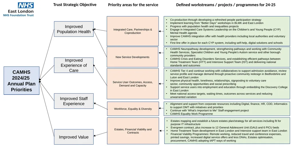 CAMHS 2024/25 Annual Plan Priorities Improved - slide 1 of 2