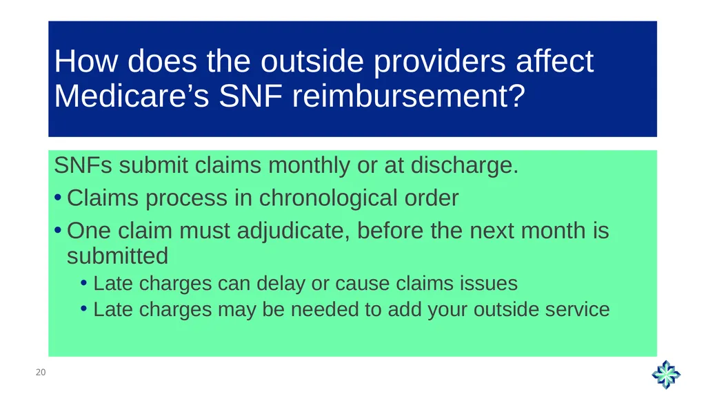Skilled Nursing Facility Consolidated Billing - slide 20 of 25