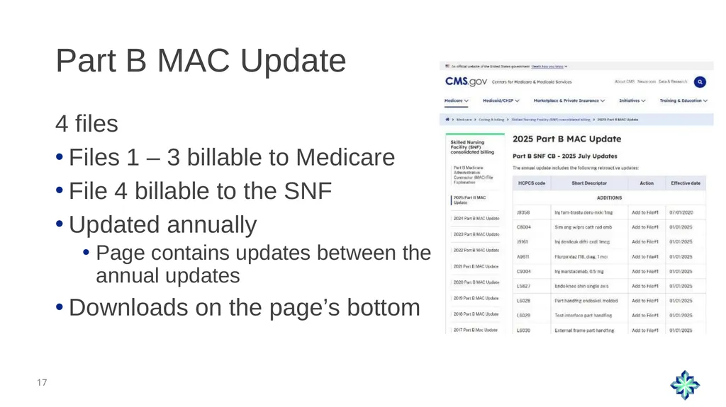 Skilled Nursing Facility Consolidated Billing - slide 17 of 25