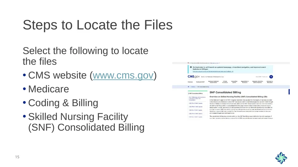 Skilled Nursing Facility Consolidated Billing - slide 15 of 25