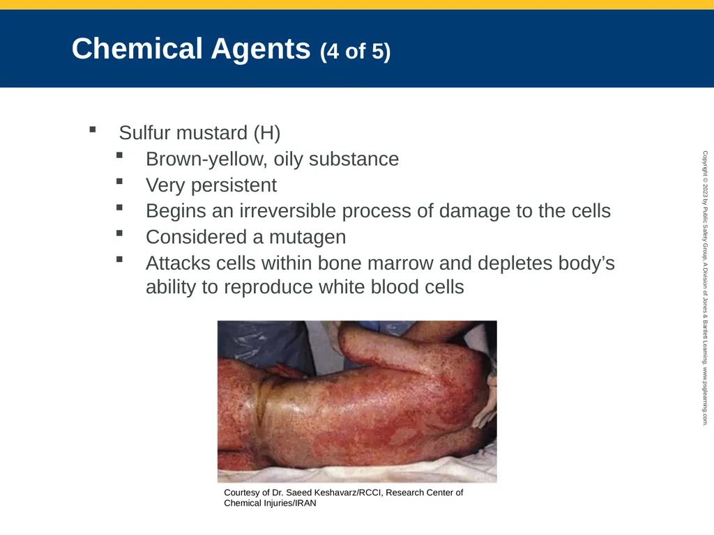 Terrorism Response and Disaster Management CHAPTER - slide 22 of 58