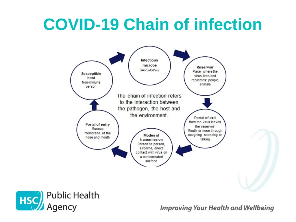 COVID-19 vaccination programme for adults - slide 14 of 83