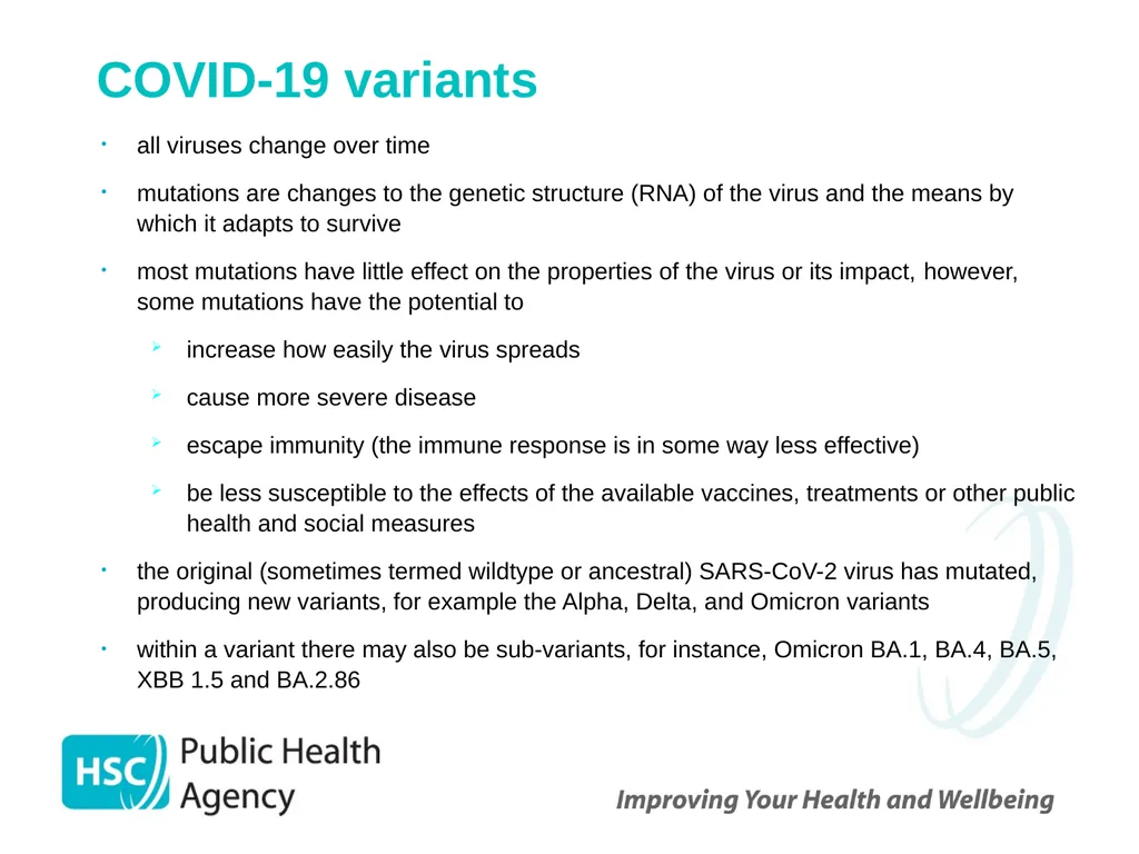 COVID-19 vaccination programme for adults - slide 12 of 83
