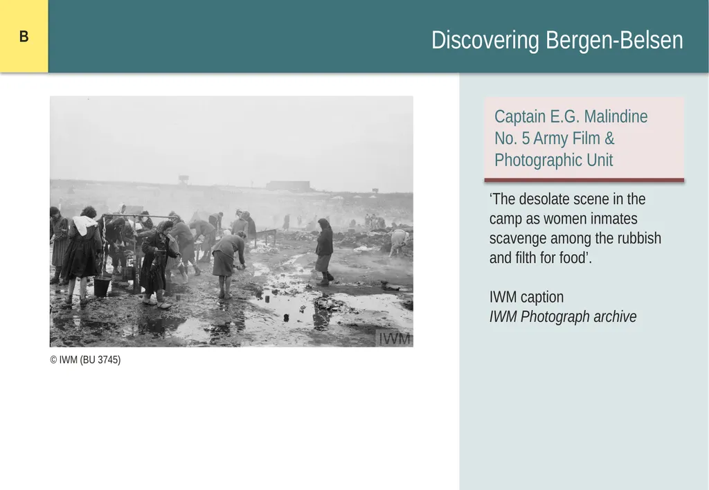 Encountering Bergen-Belsen What were the - slide 13 of 54
