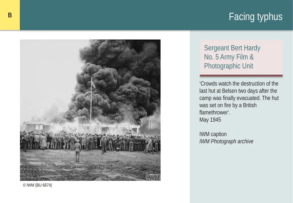 Encountering Bergen-Belsen What were the - slide 16 of 54