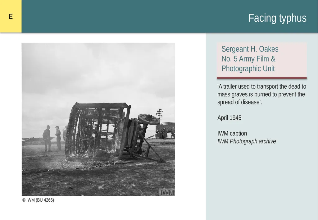 Encountering Bergen-Belsen What were the - slide 46 of 54