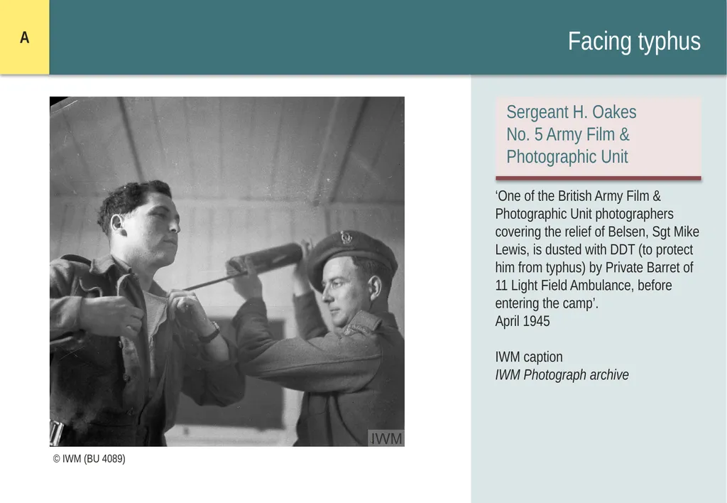 Encountering Bergen-Belsen What were the - slide 6 of 54