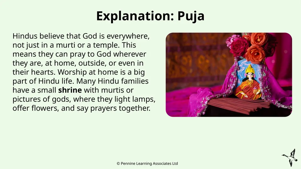 Thank you for using this resource. We hope it - slide 11 of 22