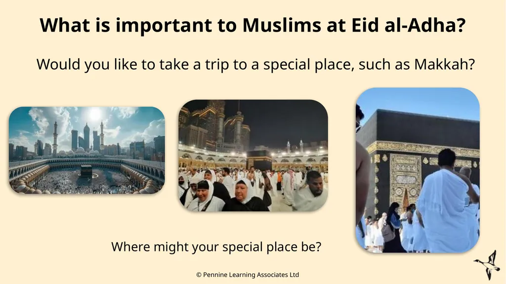 Thank you for using this resource. We hope it - slide 17 of 25
