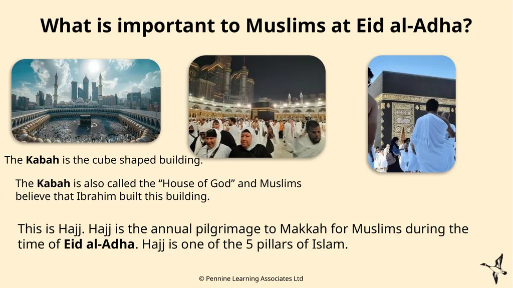 Thank you for using this resource. We hope it - slide 19 of 25
