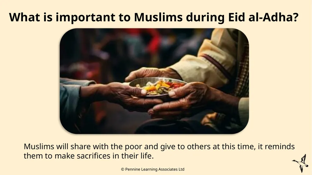 Thank you for using this resource. We hope it - slide 16 of 25