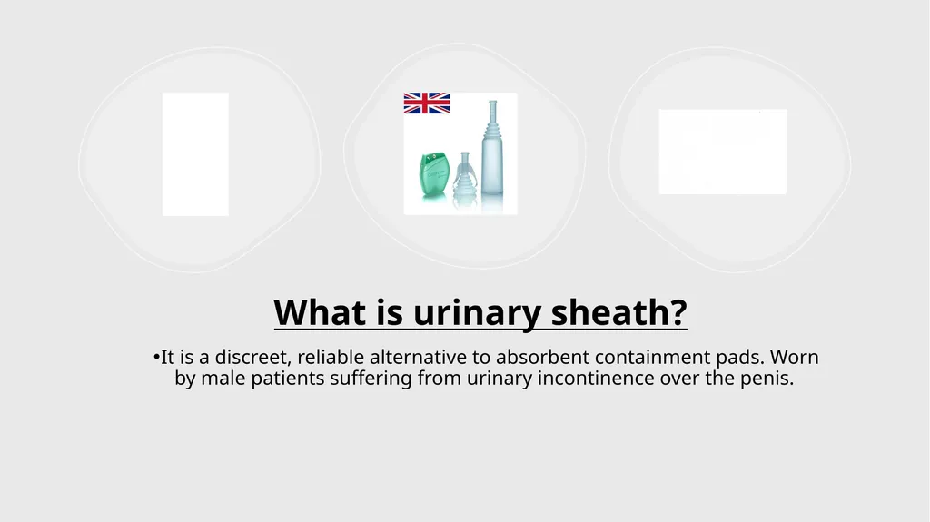 Urinary sheaths Ade Oyeniyi Bladder and Bowel - slide 2 of 13