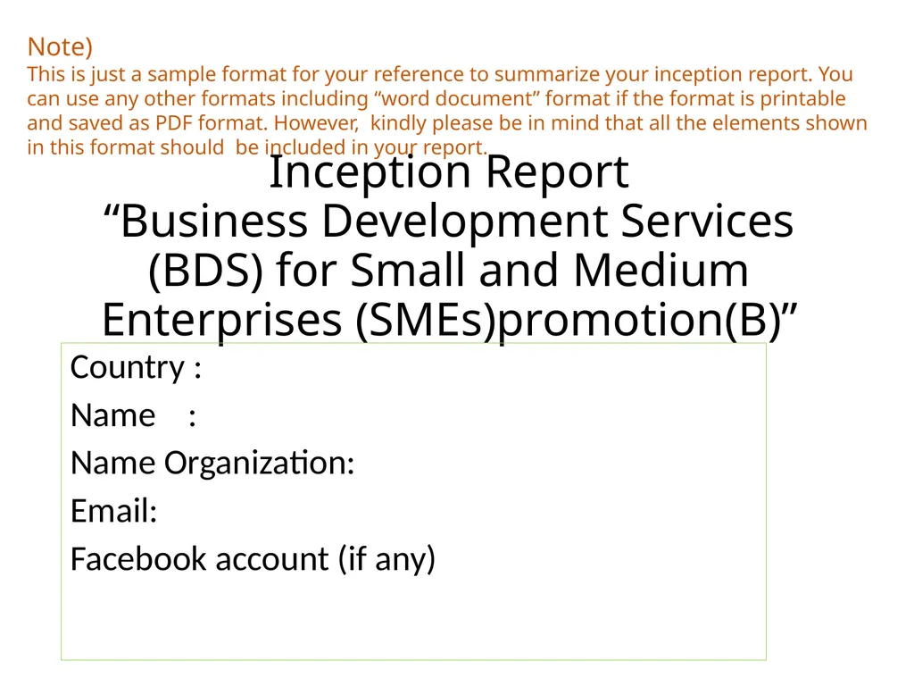 Inception Report “Business Development Services - slide 1 of 12