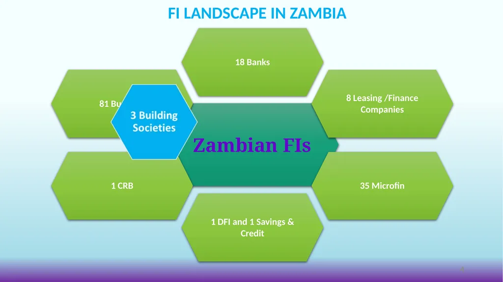 THE ROLE OF FINANCIAL INSTITUTIONS IN PROMOTING - slide 4 of 24