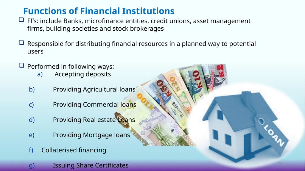 THE ROLE OF FINANCIAL INSTITUTIONS IN PROMOTING - slide 3 of 24