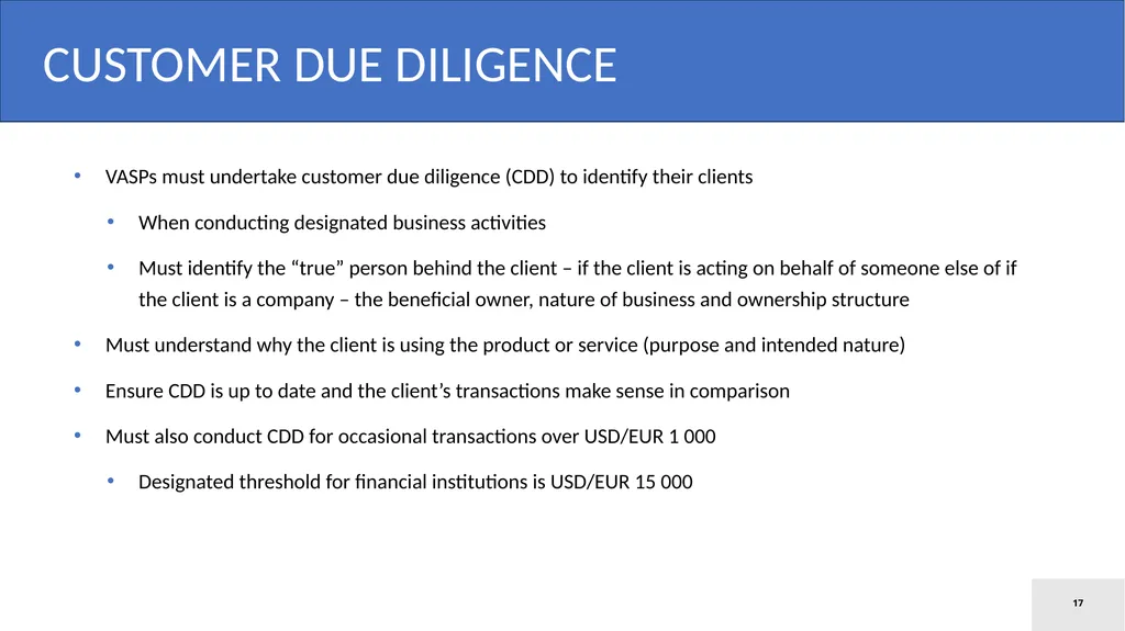 Model Law on Virtual Assets Law Ministers’ Meeting - slide 17 of 23
