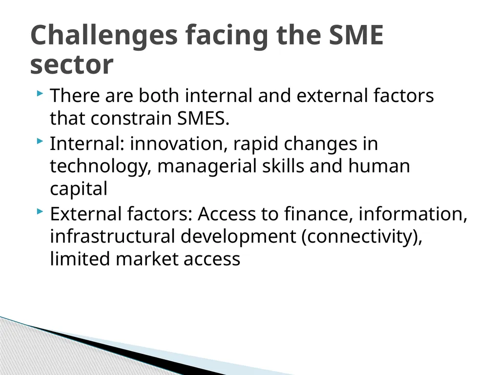 Enterprise development SMEs and export-led growth - slide 6 of 25
