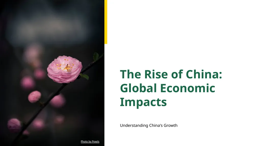 The Rise of China: Global Economic Impacts