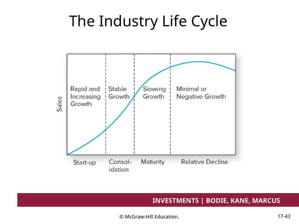Chapter 17 Investment Considerations: - slide 43 of 46