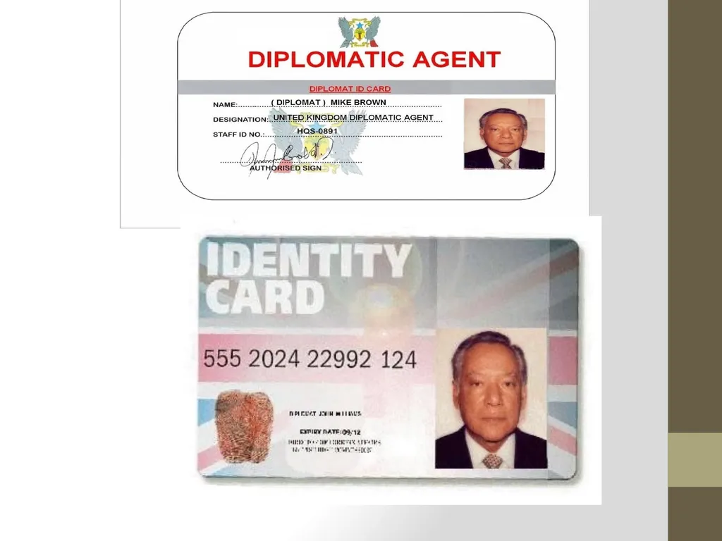 DIPLOMATIC AGENTS - Dr. Anita M. J Role of - slide 4 of 17