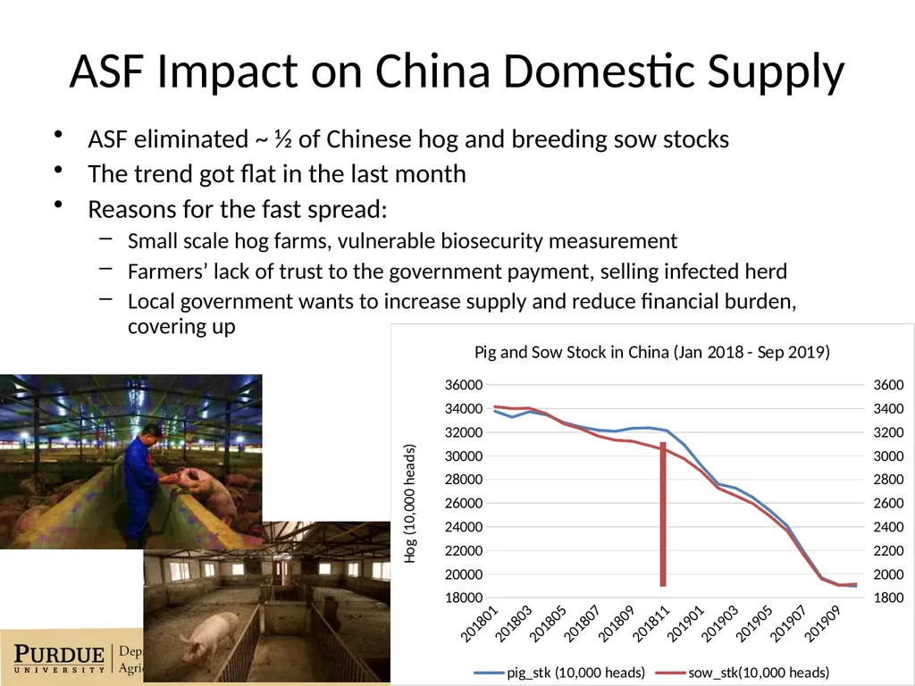 Market Impacts of the African Swine Fever Outbreak - slide 5 of 11