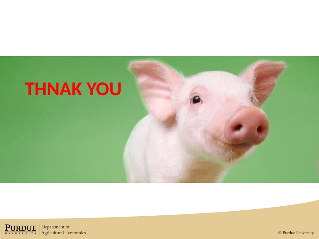 Market Impacts of the African Swine Fever Outbreak - slide 11 of 11
