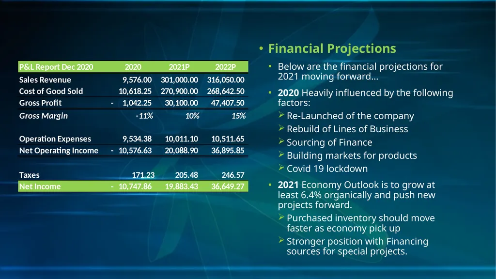 Business Plan Importspan, S.A. 2021 Business Plan - slide 6 of 7