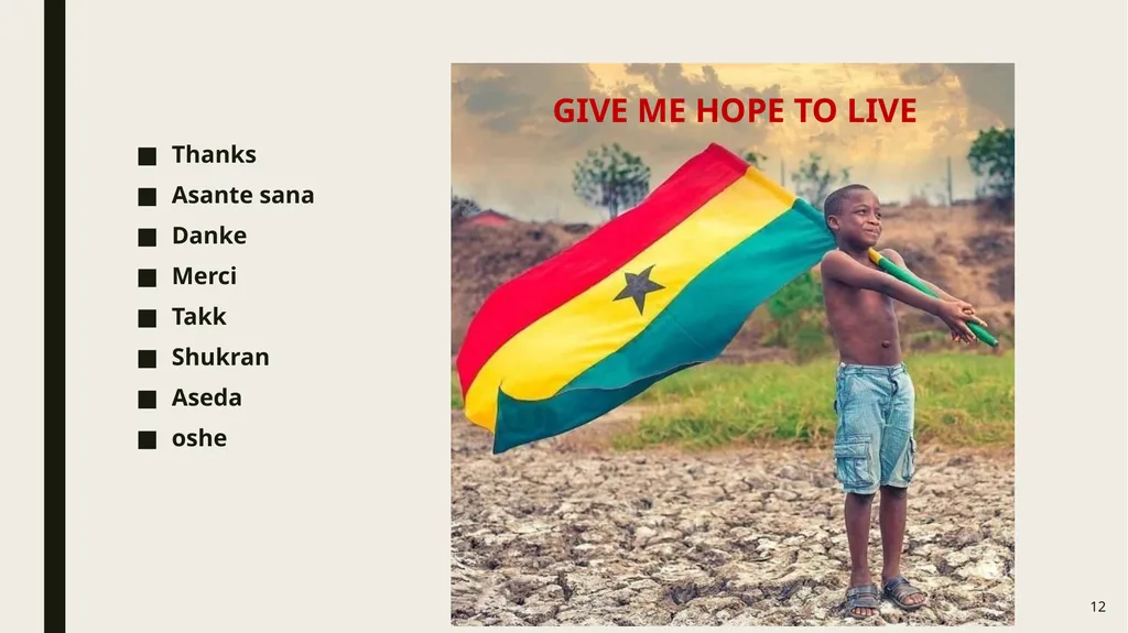 Kofi A. Agyarko, Director, Renewable Energy, - slide 12 of 19