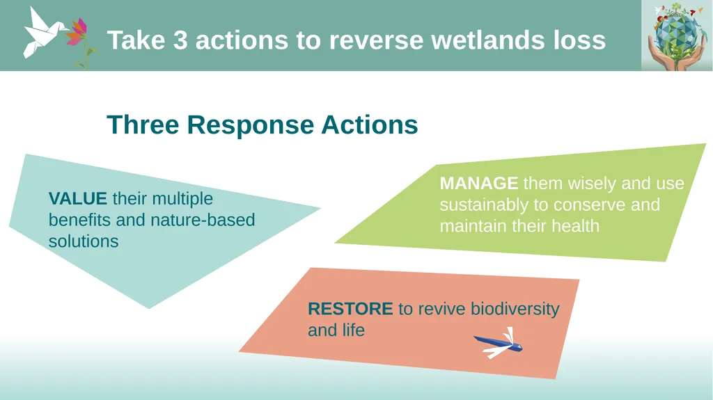 VALUE – MANAGE – RESTORE – LOVE - slide 8 of 12