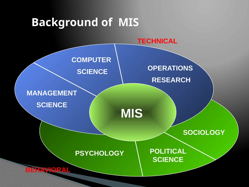Management Information Systems Yong Choi BPA CSUB - slide 5 of 23