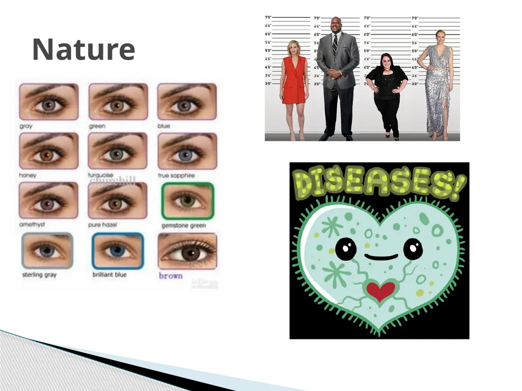 Nature v. nurture Work your way through the - slide 4 of 14