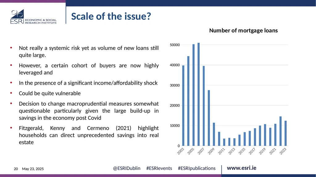 Macroeconomic context for Budget 2025 EVENT ESRI - slide 20 of 23